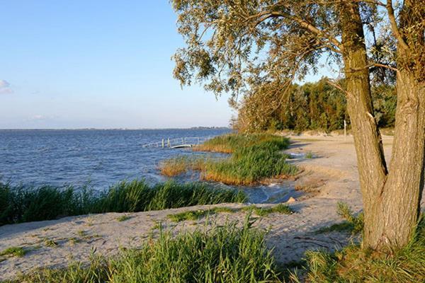 Huus Am Darss Villa Fuhlendorf  ภายนอก รูปภาพ